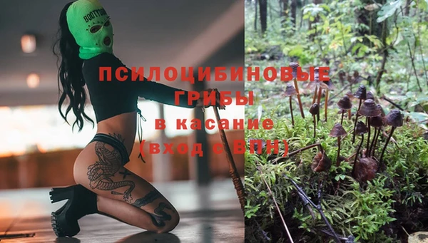 марихуана Абаза