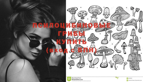 спиды Алзамай