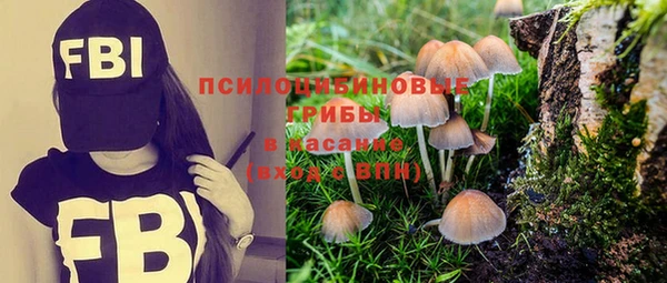 амф Абинск