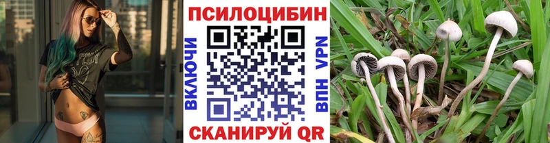 Галлюциногенные грибы Psilocybine cubensis  Зуевка 